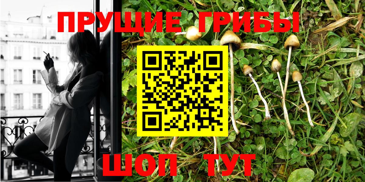 что такое   Вход с VPN  Галлюциногенные грибы MAGIC MUSHROOMS  Каспийск  Галлюциногенные грибы прущие грибы 