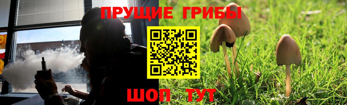 Галлюциногенные грибы мицелий Каспийск